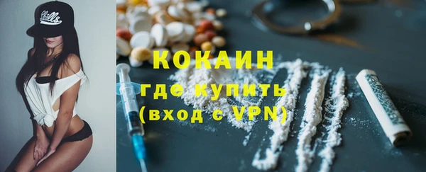 индика Баксан