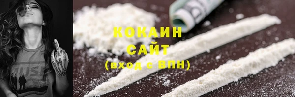 дживик Пенза