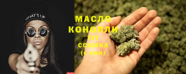 индика Баксан