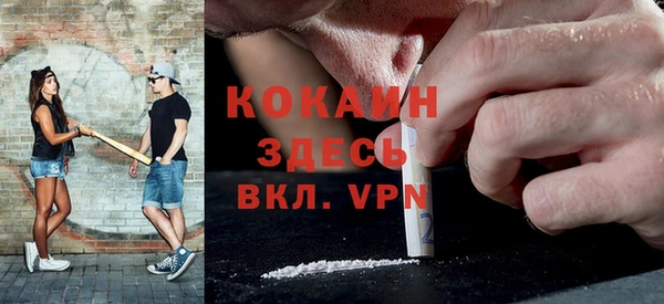 индика Баксан