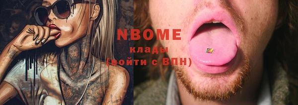 индика Баксан