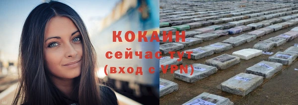 дживик Пенза