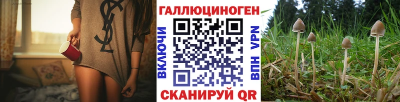 Псилоцибиновые грибы Cubensis  Бикин 